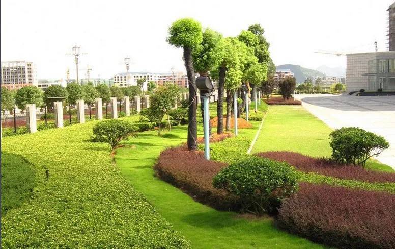 以園林綠化工程為基石，推進城市生態高質量發展